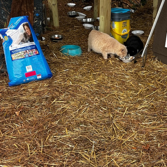 Meet your Posher, Lisa - Picture 15 of 17